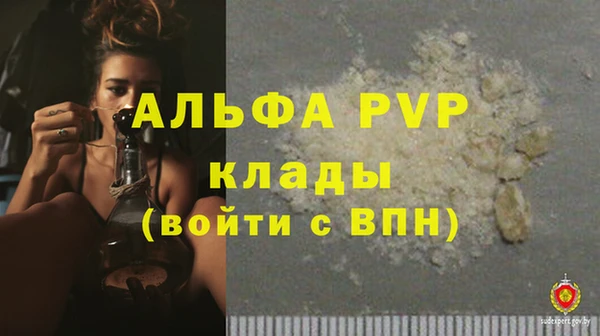 стафф Арсеньев