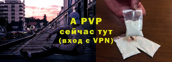 стафф Арсеньев
