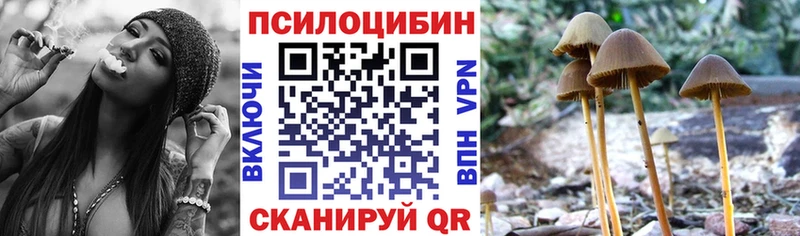 Галлюциногенные грибы Psilocybine cubensis  Сосновоборск 
