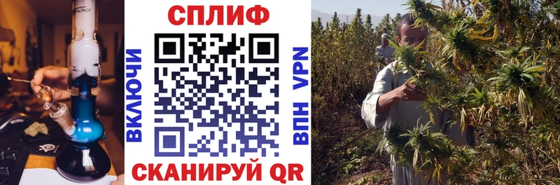 Конопля OG Kush  Сосновоборск 